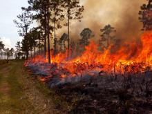 incendi