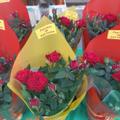santjordi4