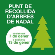Recollida Arbres