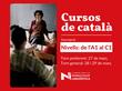 cursos català web