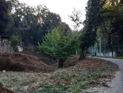 neteja parcel&middot;les 1