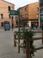 punt recollida arbres nadal