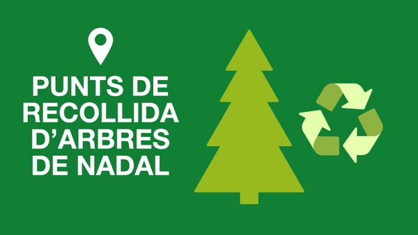Punts de recollida d'arbres