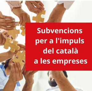 subvencions empreses foment català