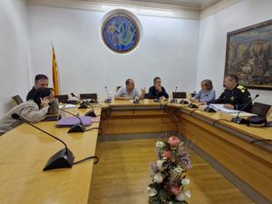 reunió comitè emergència