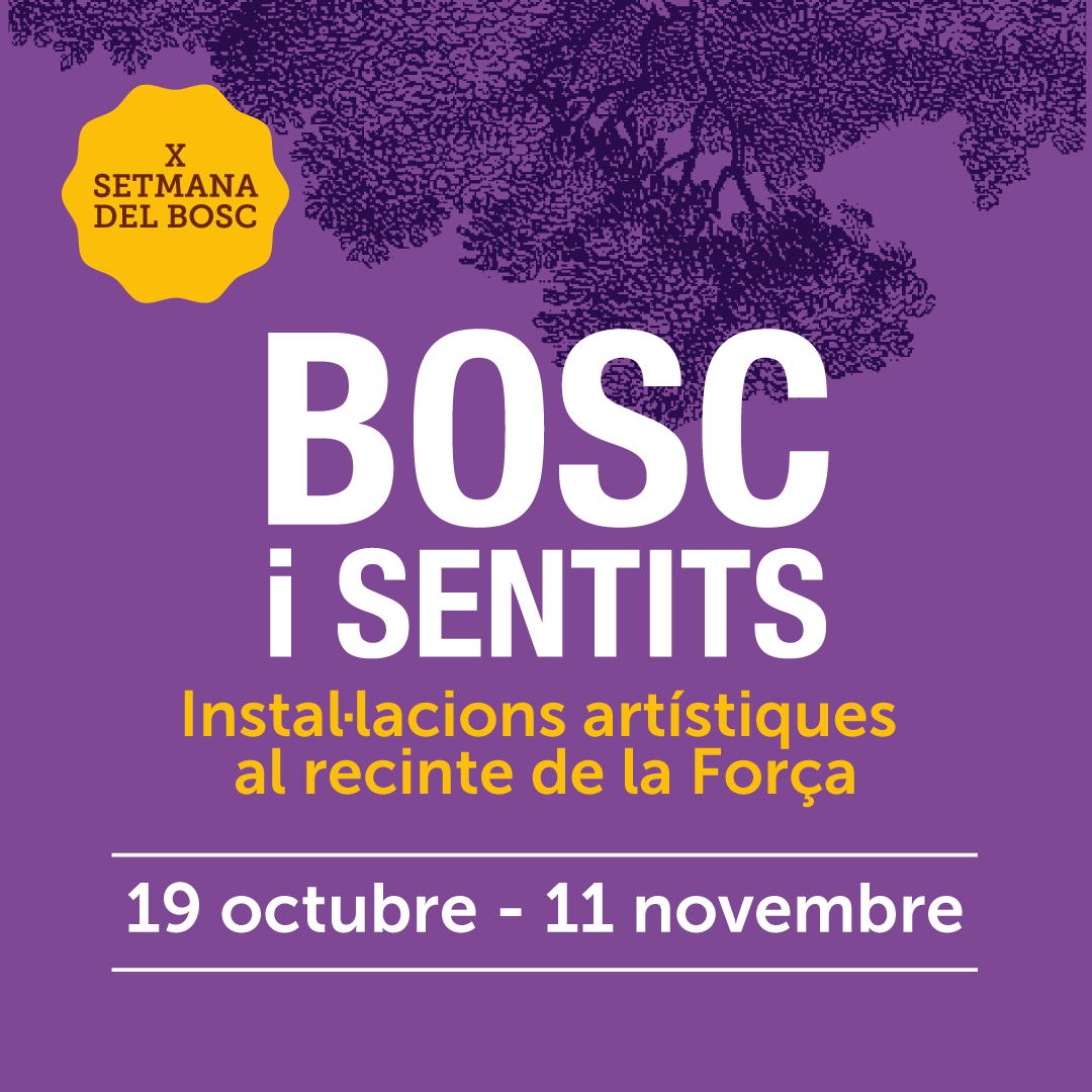 bosc i sentits