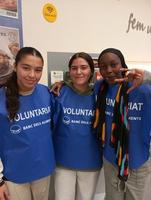 servei comunitari