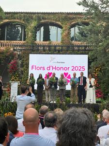 viles florides