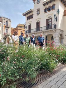 viles florides