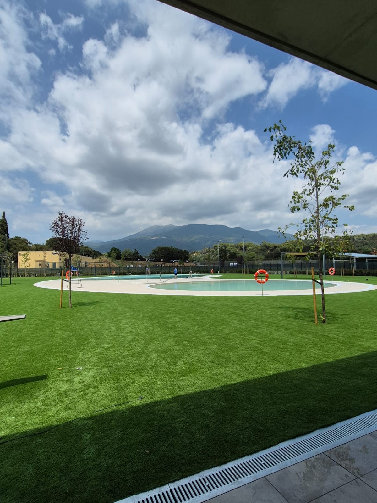 pisci