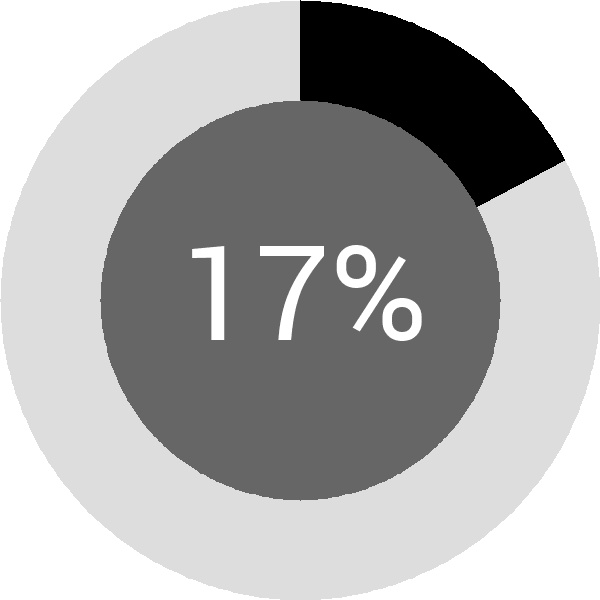Assoliment: 17%